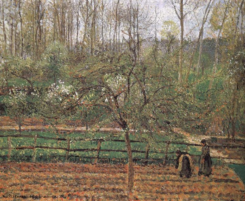 Camille Pissarro Spring Germany oil painting art
